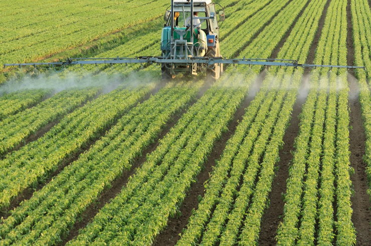 Commercial Farming