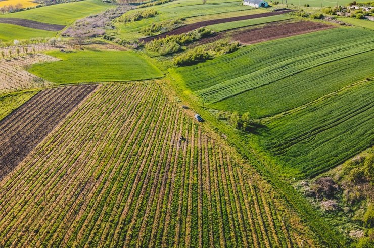 Intensive Farming