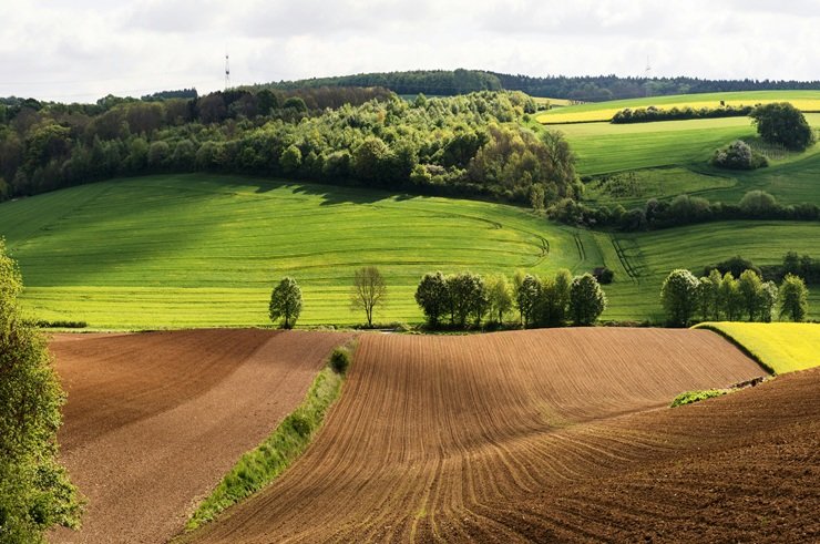 Mixed farming with crops and livestock