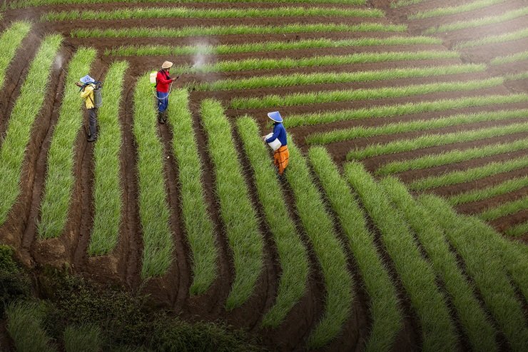 Farming Business Plans: How to Create a Practical Farm Business Plan