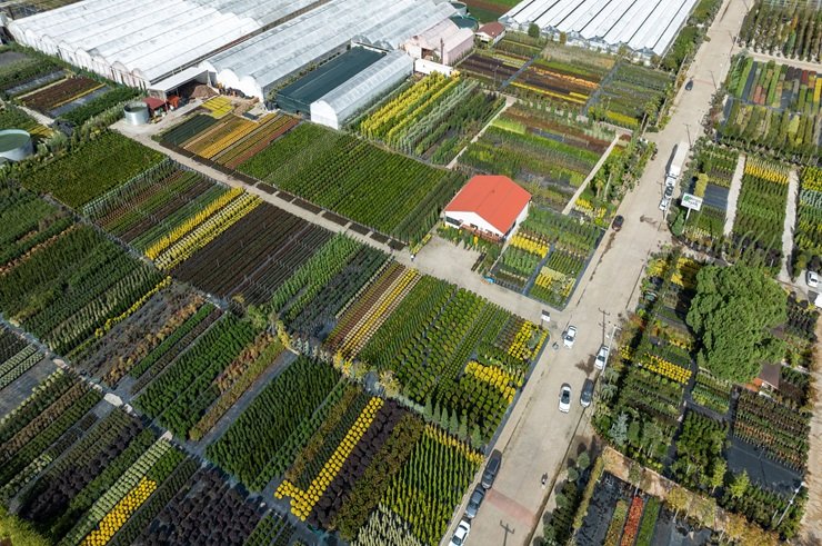 Farming business guide showing crops and agricultural activities