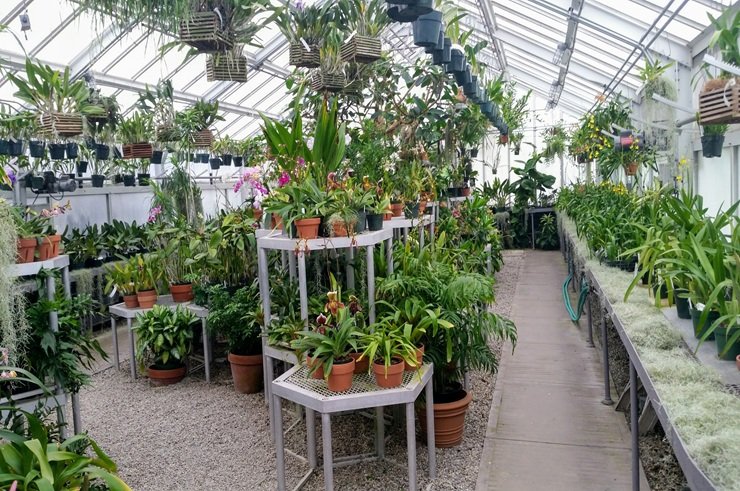 Indoor farming system growing crops under controlled conditions