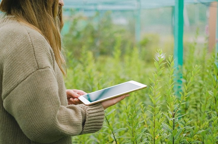 Smart farming technology used to monitor crops and agricultural fields
