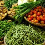 Vegetable farming with fresh crops growing in an agricultural field