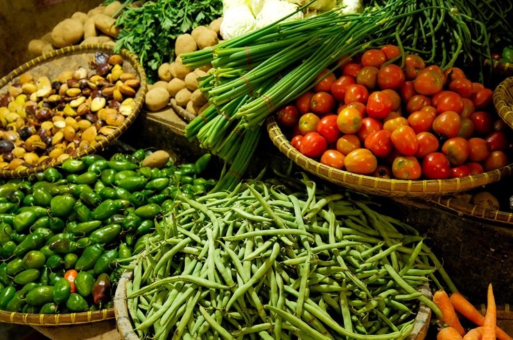 Vegetable farming with fresh crops growing in an agricultural field