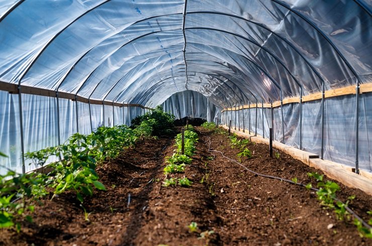 Greenhouse Farming: 10 Types, Methods, Benefits & Complete Guide