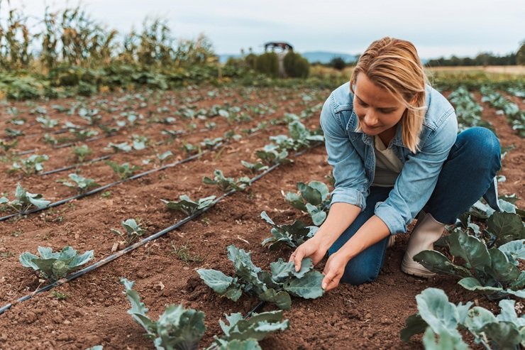 Organic & Sustainable Farming: 12 Methods, Benefits & Examples